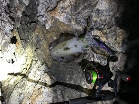 失った餌木…んぐ