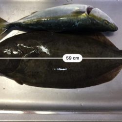 のませビギナーズラック！