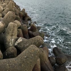 太刀魚…サイズがアップしないなぁ