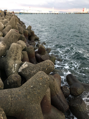 太刀魚…サイズがアップしないなぁ