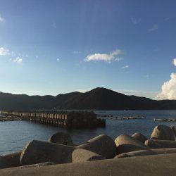 シャローで秋エギング