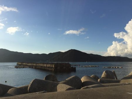 シャローで秋エギング