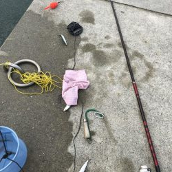 淡路遠征。あじフィーバー