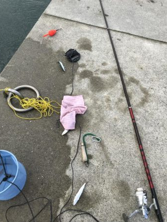 淡路遠征。あじフィーバー