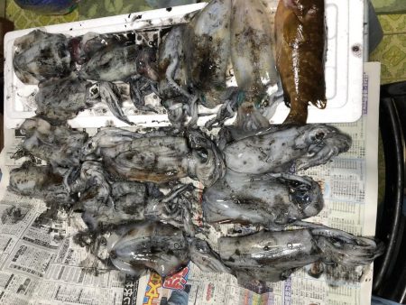 今シーズン初！！