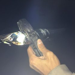 湾奥不調 からの貝塚好調(^O^)