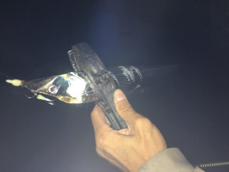 湾奥不調 からの貝塚好調(^O^)