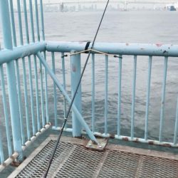 大黒ふ頭海釣り公園でやりました。