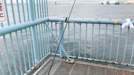 大黒ふ頭海釣り公園でやりました。