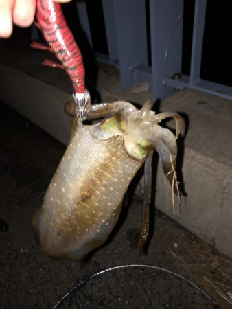 赤坂海岸で2時間