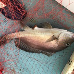 庄門丸伝馬船にて