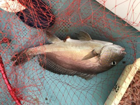 庄門丸伝馬船にて