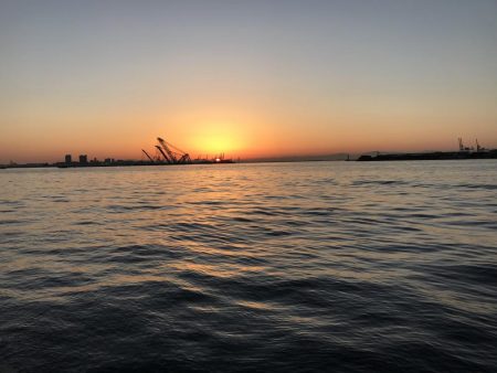 タチウオ高活性。