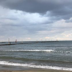 チビシーバス入れ食い