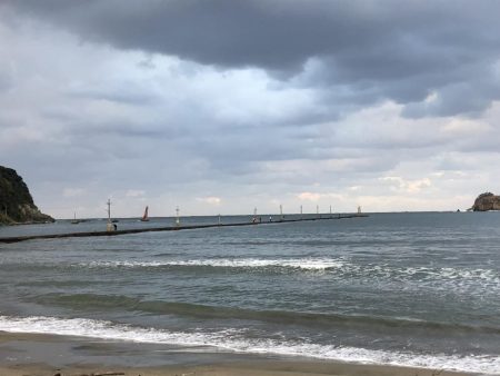 チビシーバス入れ食い