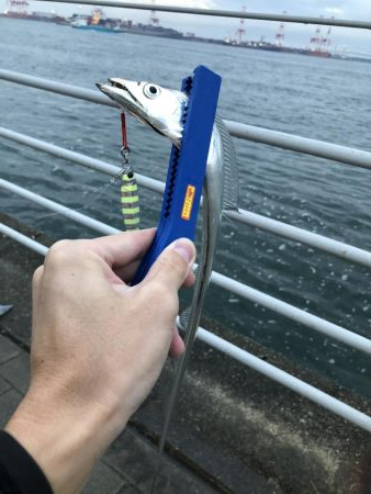 タチウオ ルアー