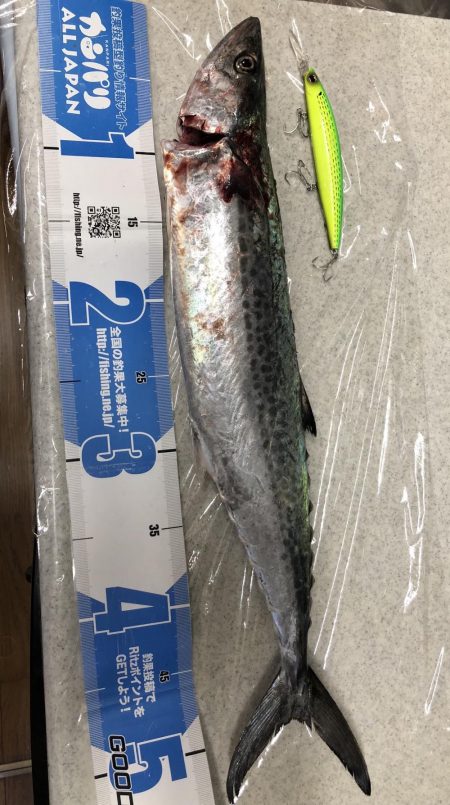 ショアプラッキングおもろ。