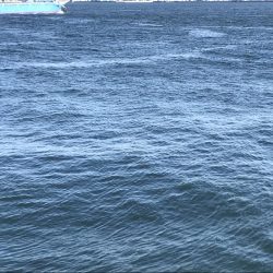 ショアジギ前に