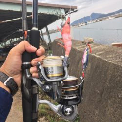 サイズアップしてますよ⤴️