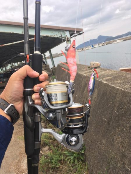 サイズアップしてますよ⤴️