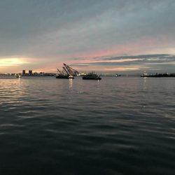 今日は、渋かった。