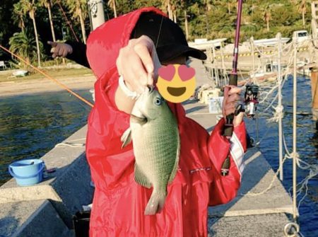 良型のカワハギ