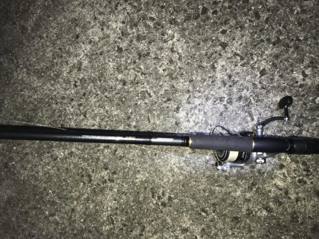 西宮ケーソンにて