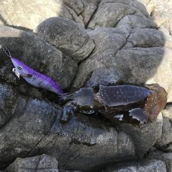 エギングランガン