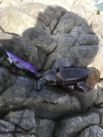 エギングランガン