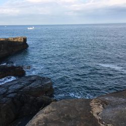 早く自分ぐらいのレベルに追いついてほしいものです