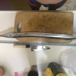 ショアジギング