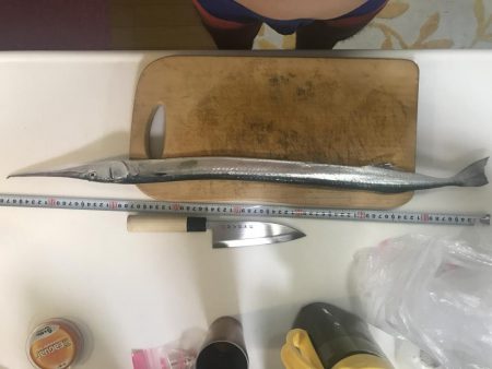 ショアジギング