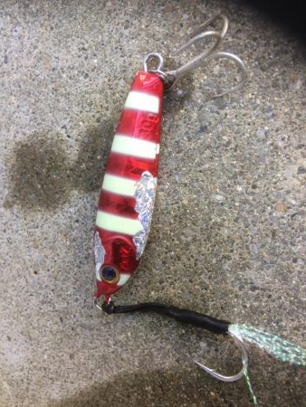 イカダメ、タチ2