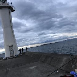 メジロ釣りたい