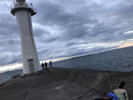 メジロ釣りたい