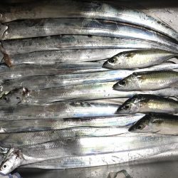 軽い気持ちでしたが、、