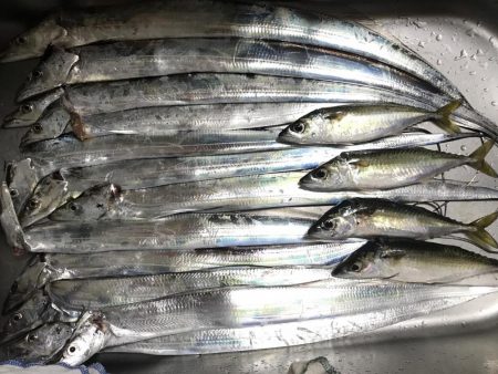 軽い気持ちでしたが、、