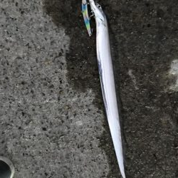 呑ませ釣りのつもりが