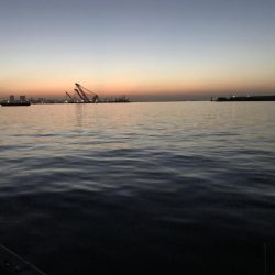 サバのありがたみ。