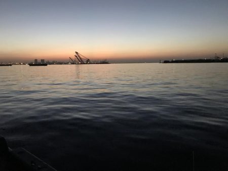 サバのありがたみ。