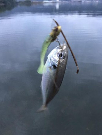 久しぶりに‼️