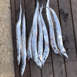 フィッシングホテル