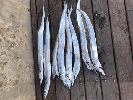 フィッシングホテル