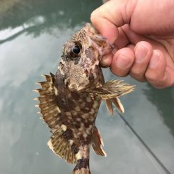 出勤前に五目！