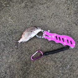 小豆島 家族旅行の合間に♪