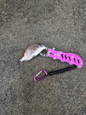 小豆島 家族旅行の合間に♪