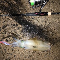 台風の前の静けさ