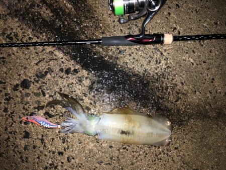 台風の前の静けさ