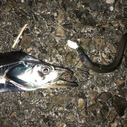 うるとららいとてんやげーむ