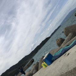 エギングのつもりが…